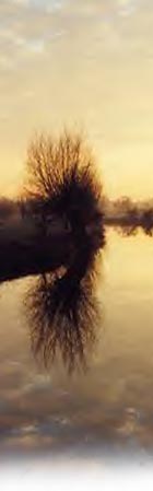 the old rectory, activities, walking